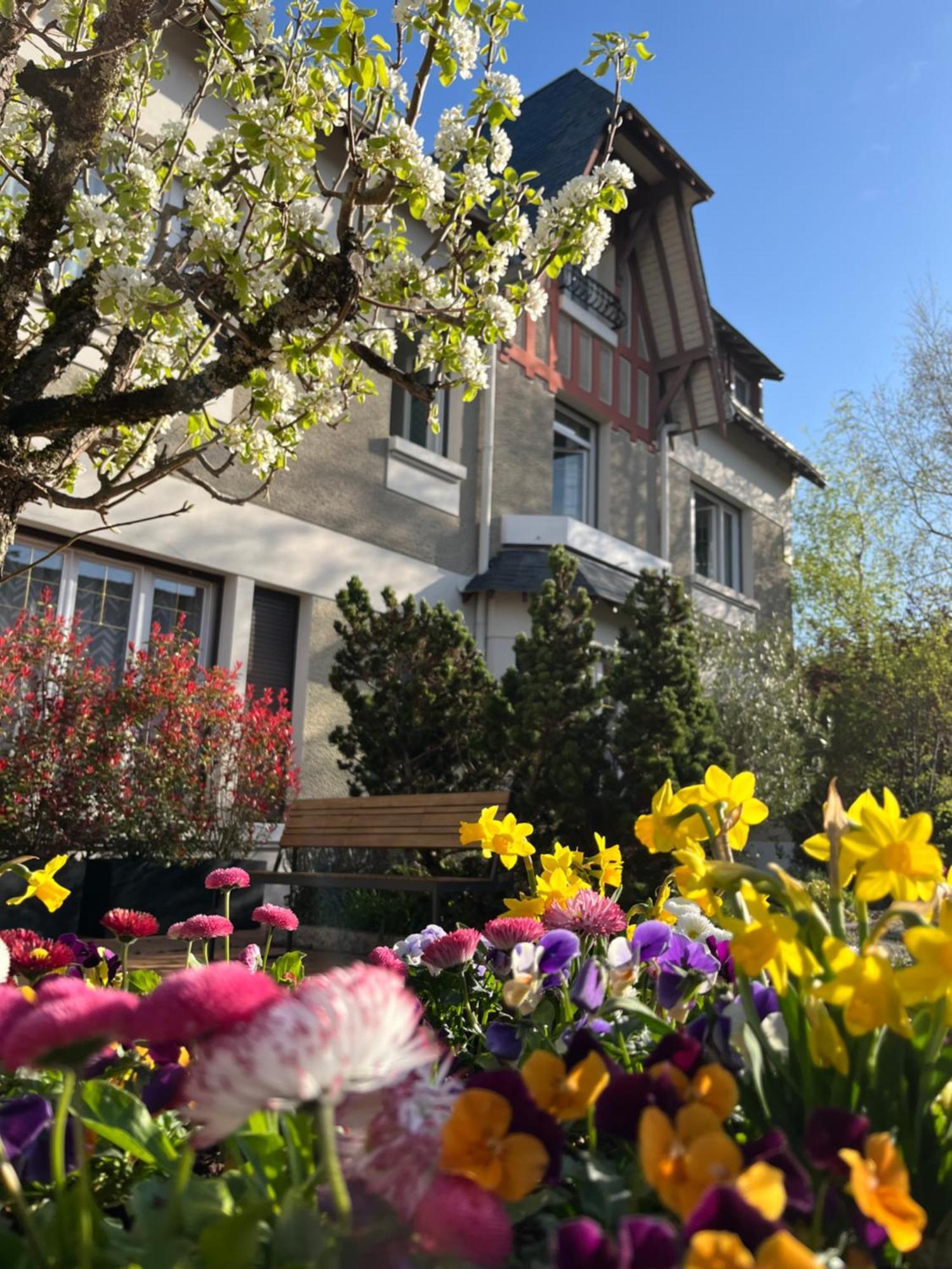 Logis Hotel Le Saint Florent Mont-pres-Chambord Ngoại thất bức ảnh